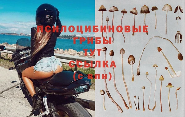прущий лед Пересвет