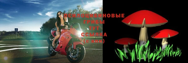 дмт Абинск