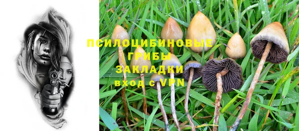 дмт Абинск