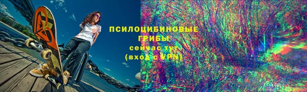 PSILOCYBIN Переславль-Залесский